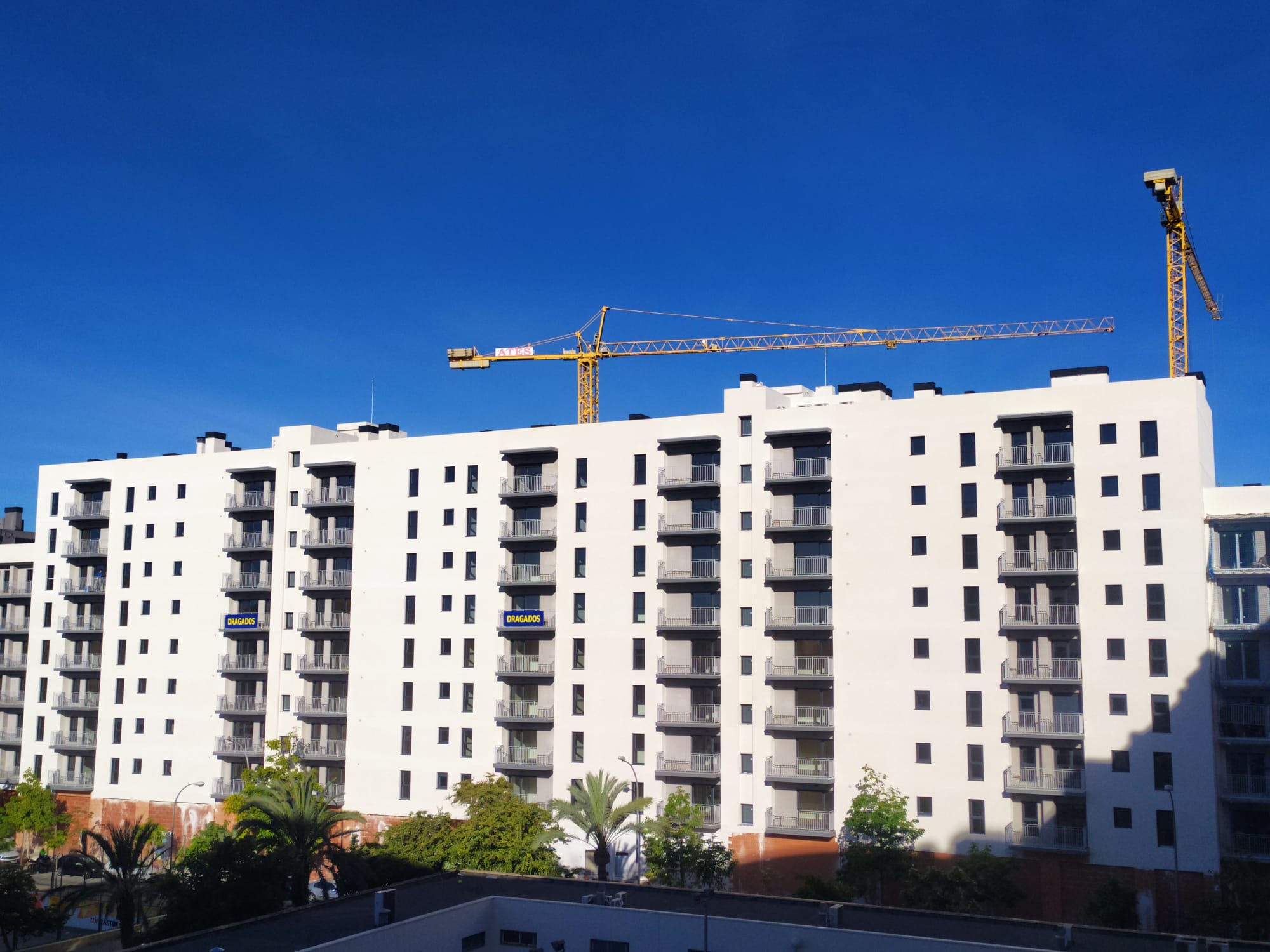 Los jóvenes alicantinos destinan más de la mitad de su salario al alquiler de su vivienda Los jóvenes alicantinos destinan más de la mitad de su salario al alquiler de su vivienda