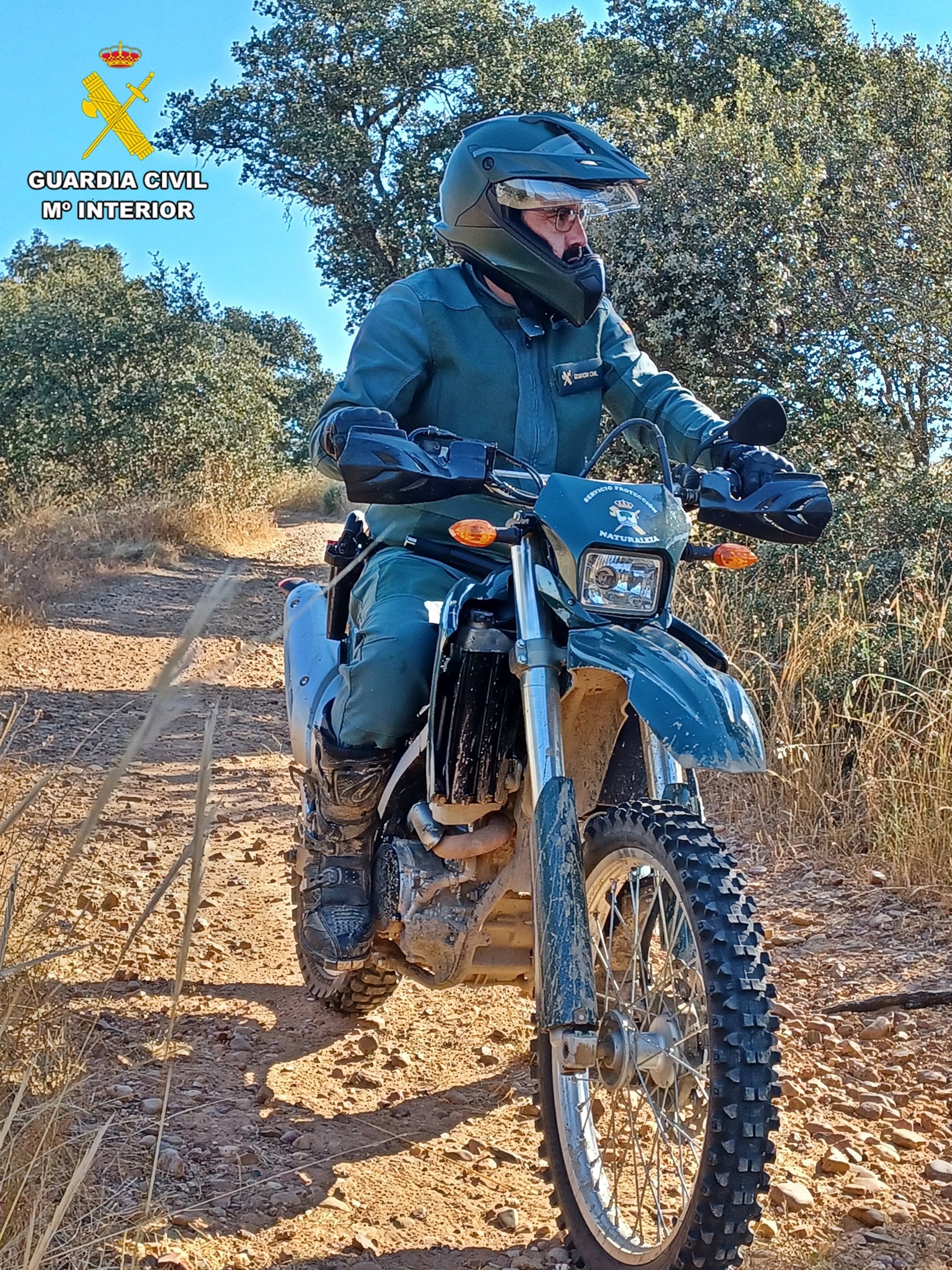 Dos denunciados por matar dos ciervos en una batida en Retamal de Llerena sólo autorizada para cazar jabalíes Dos denunciados por matar dos ciervos en una batida en Retamal de Llerena sólo autorizada para cazar jabalíes