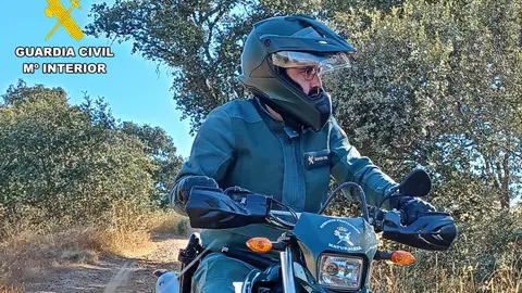 Dos denunciados por matar dos ciervos en una batida en Retamal de Llerena sólo autorizada para cazar jabalíes Dos denunciados por matar dos ciervos en una batida en Retamal de Llerena sólo autorizada para cazar jabalíes