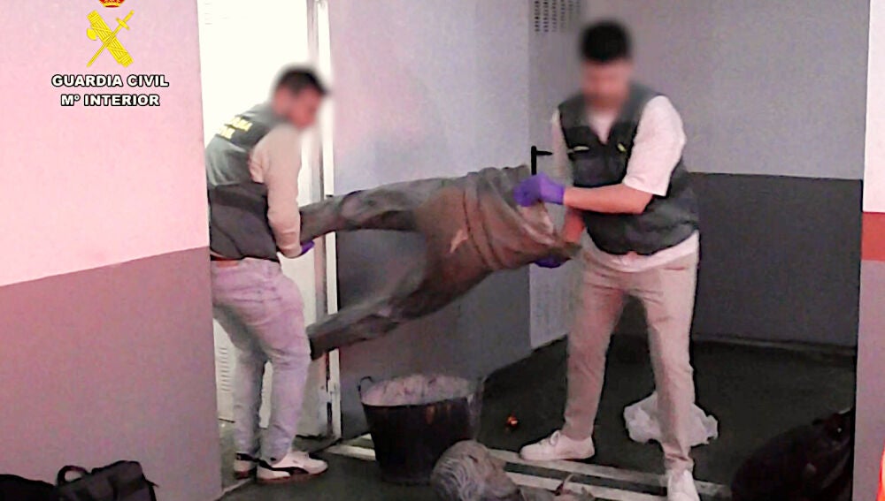 Recuperacion estatua Seve Ballesteros