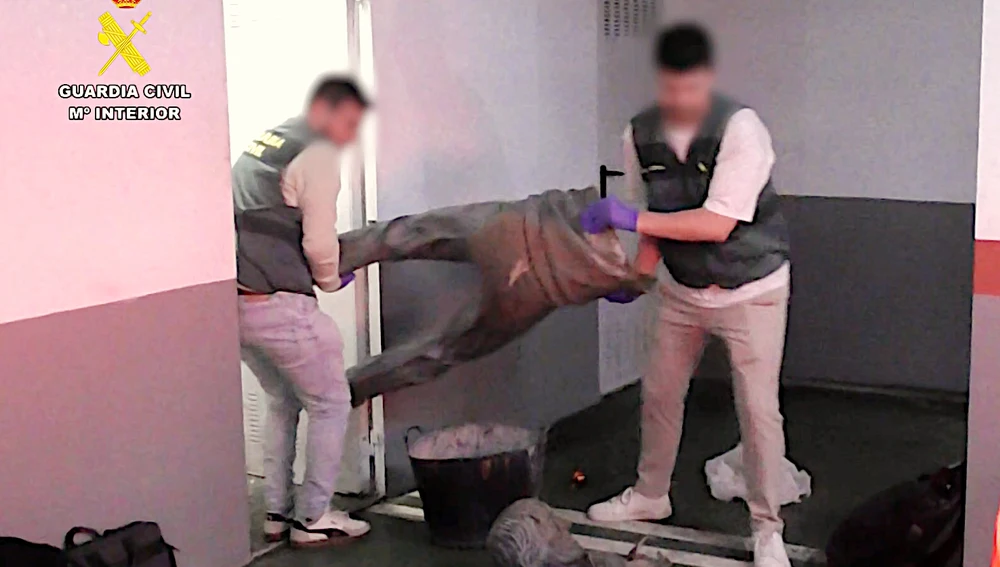 Recuperacion estatua Seve Ballesteros Recuperacion estatua Seve Ballesteros