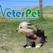 VETERPET VETERPET