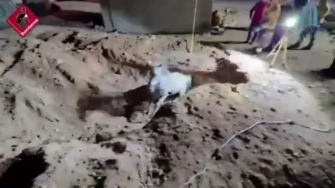 Momento del rescate del caballo que ha caído en el pozo ciego de Pinoso. Los bomberos rescatan en Pinoso a un caballo tras quedar atrapado en el interior de un pozo ciego