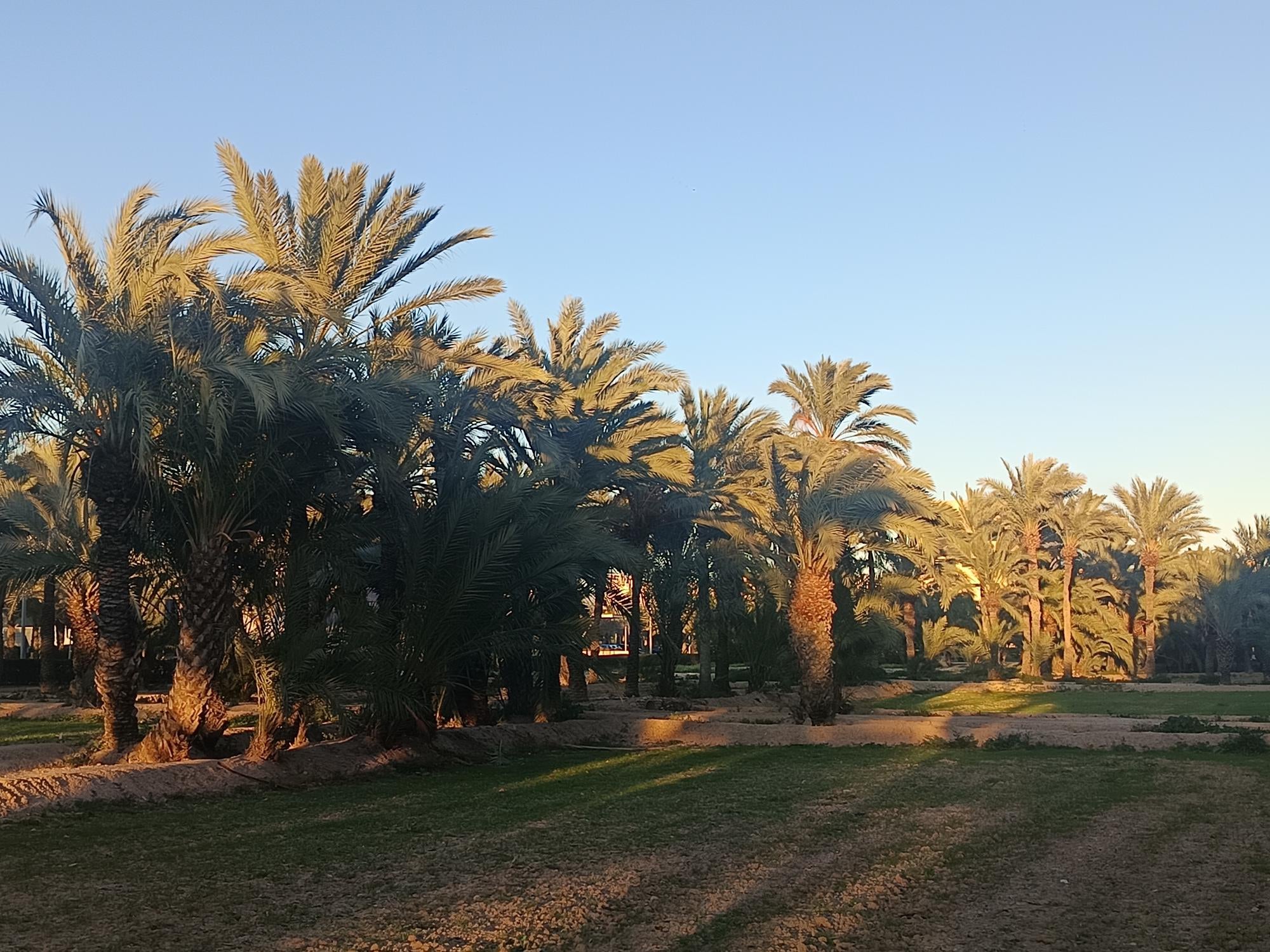 El sol y el calor también mandan en Elche, Crevillent y Santa Pola en el arranque del mes de junio El sol y el calor también mandan en Elche, Crevillent y Santa Pola en el arranque del mes de junio