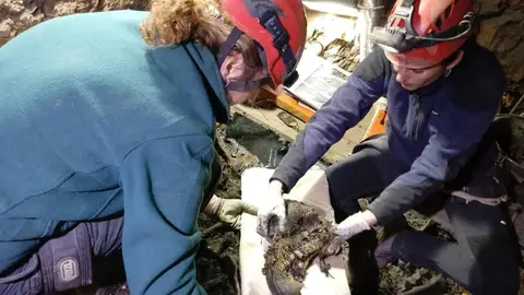 La Diputación de Cáceres saca a licitación los trabajos de exhumación en fosas de Almoharín y Villamesías La Diputación de Cáceres saca a licitación los trabajos de exhumación en fosas de Almoharín y Villamesías