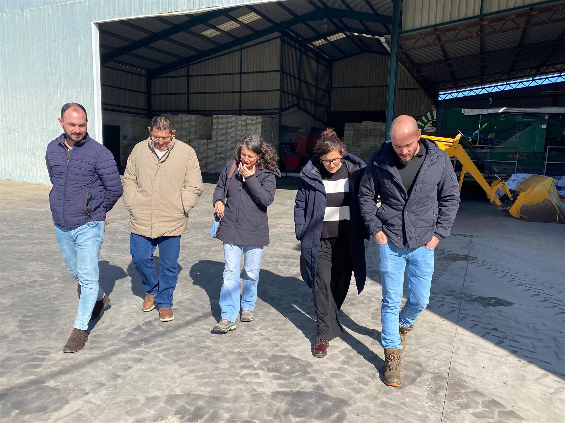 De Miguel critica los precios que las empresas "imponen al tomate" y que la Junta "ni sanciona, ni intercede" De Miguel critica los precios que las empresas "imponen al tomate" y que la Junta "ni sanciona, ni intercede"