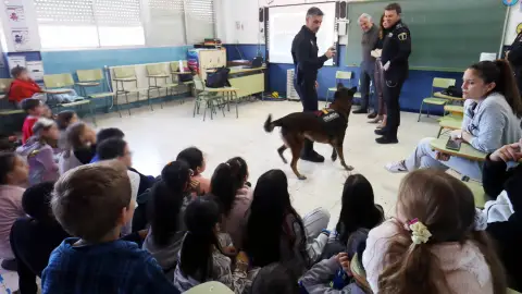 La Unidad Canina de la Policía Local de Benidorm inicia unos talleres para acercar su trabajo a los escolares de Benidorm La Unidad Canina de la Policía Local de Benidorm inicia unos talleres para acercar su trabajo a los escolares de Benidorm