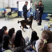 La Unidad Canina de la Policía Local de Benidorm inicia unos talleres para acercar su trabajo a los escolares de Benidorm La Unidad Canina de la Policía Local de Benidorm inicia unos talleres para acercar su trabajo a los escolares de Benidorm
