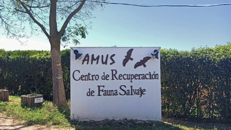 AMUS ampliará su hospital de fauna salvaje con el apoyo del Ayuntamiento de Villafranca de los Barros AMUS ampliará su hospital de fauna salvaje con el apoyo del Ayuntamiento de Villafranca de los Barros