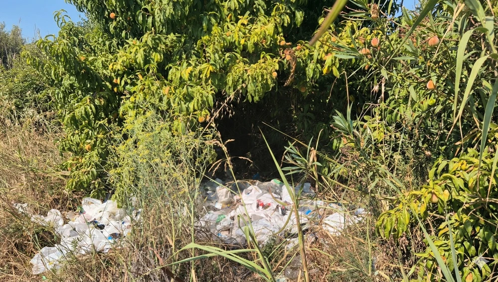Maleza y basura en en las vías Maleza y basura en en las vías