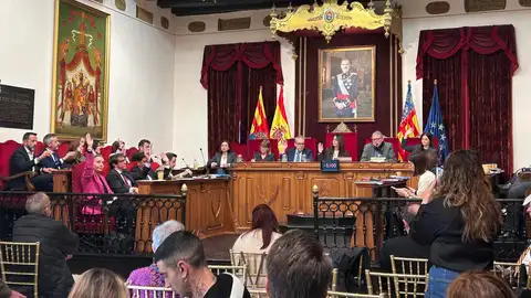 Pleno municipal del Ayuntamiento de Elche. Pleno municipal del Ayuntamiento de Elche.
