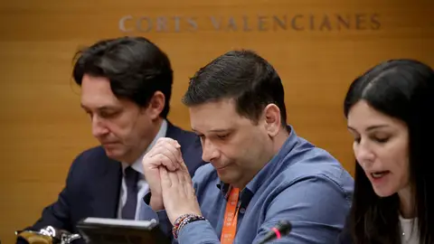 El presidente de la Asociación Damnificados DANA Horta Sud, Álex Carabal, comparece en la comisión de investigación de Les Corts Valencianes El presidente de la Asociación Damnificados DANA Horta Sud, Álex Carabal, comparece en la comisión de investigación de Les Corts Valencianes