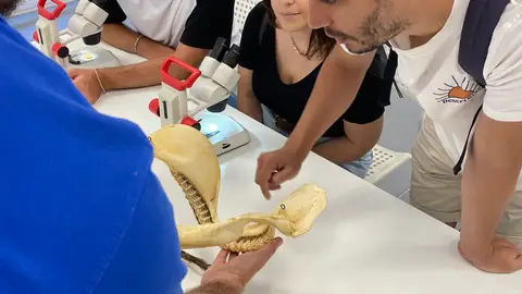 El Acuario de Sevilla y la Universidad Pablo de Olavide presentan el curso “Conservación de la Biodiversidad Marina” El Acuario de Sevilla y la Universidad Pablo de Olavide presentan el curso “Conservación de la Biodiversidad Marina”