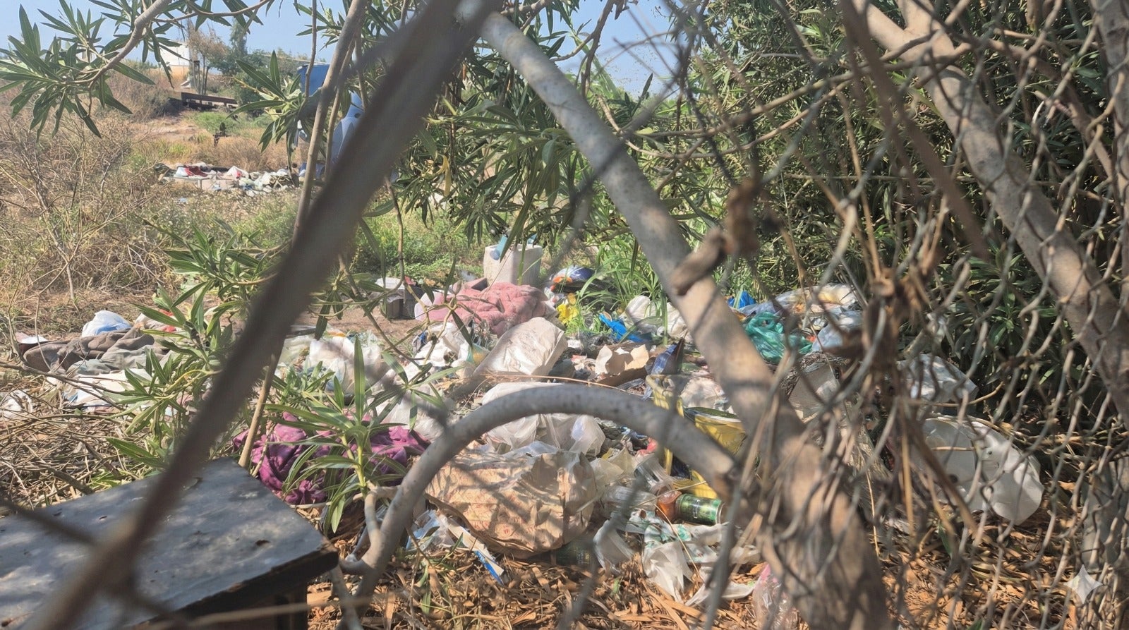 Los vecinos de Parque del Mar denuncian la presencia de basura, ratas, pulgas y otras plagas en las vías del tren Los vecinos de Parque del Mar denuncian la presencia de basura, ratas, pulgas y otras plagas en las vías del tren