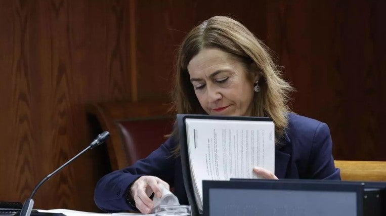 La directora de Protección Civil insiste en el Senado: la Generalitat "tendría que haber pedido" la emergencia nacional en la DANA La directora de Protección Civil insiste en el Senado: la Generalitat "tendría que haber pedido" la emergencia nacional en la DANA