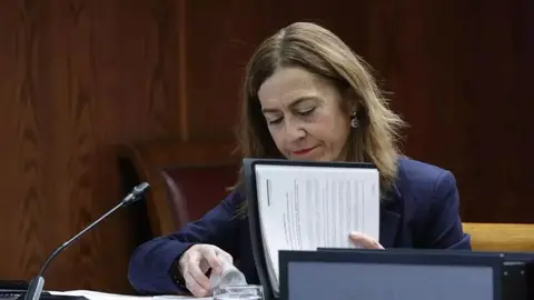 La directora general de Protección Civil y Emergencias, Virginia Barcones Sanz. La directora general de Protección Civil y Emergencias, Virginia Barcones Sanz.