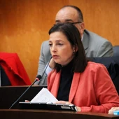 El PSOE de Benidorm exige al alcalde trasparencia sobre el plan de pagos de la sentencia de Serra Gelada El PSOE de Benidorm exige al alcalde trasparencia sobre el plan de pagos de la sentencia de Serra Gelada