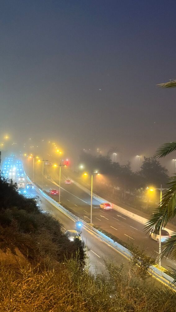 La avenida de Dénia de Alicante 