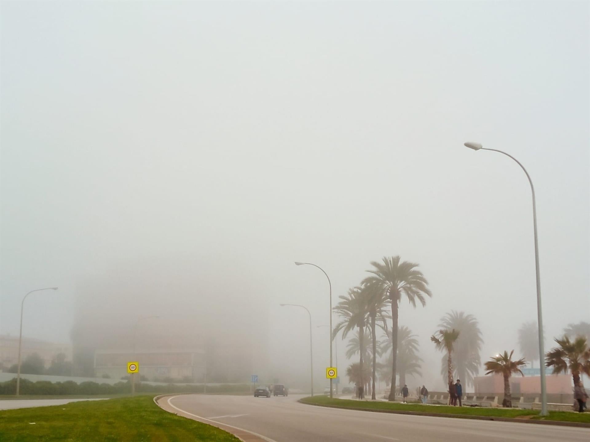 Siguen los retrasos por la niebla en el aeropuerto de Palma tras las incidencias registradas este lunes Siguen los retrasos por la niebla en el aeropuerto de Palma tras las incidencias registradas este lunes