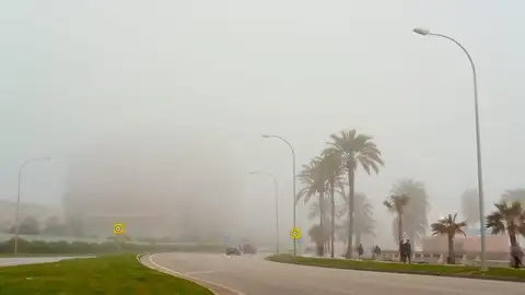 Un día de niebla en Palma. Un día de niebla en Palma.