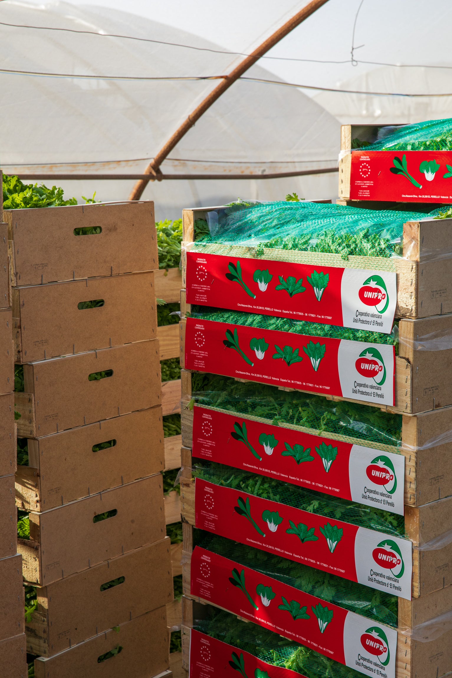 La Cooperativa UNIPRO (el Perelló) recibe el distintivo Producto Cooperativo La Cooperativa UNIPRO (el Perelló) recibe el distintivo Producto Cooperativo