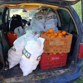 La Policía Local de Almassora intercepta a dos individuos cuando sustraían más de 200 kilos de naranjas