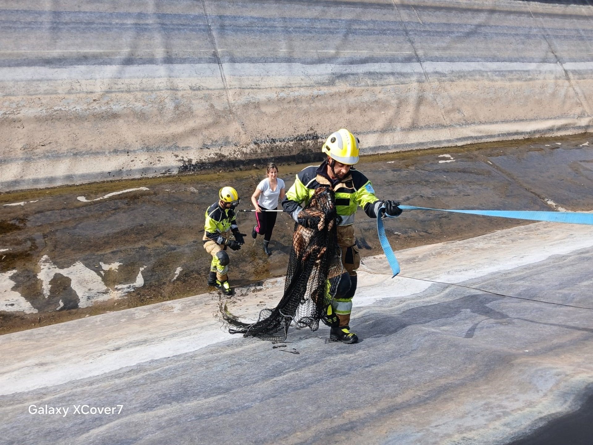 Bomberos de la Diputación de Cáceres rescatan a un podenco que había caído a un canal en Miajadas Bomberos de la Diputación de Cáceres rescatan a un podenco que había caído a un canal en Miajadas
