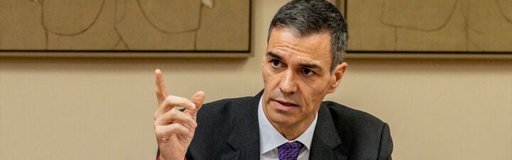 ¿Está de acuerdo con que Sánchez recupere el 