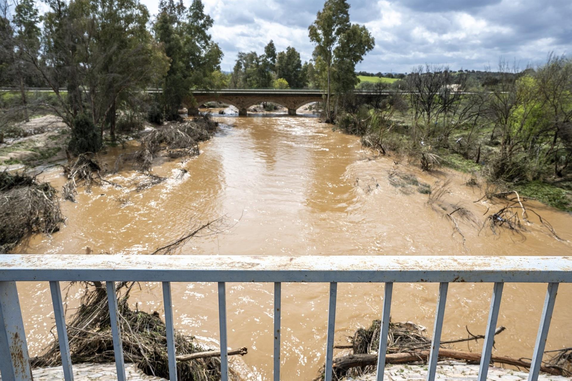 La CHG destina cerca de 350.000 euros a medidas para mejorar el estado de los cauces en toda la cuenca La CHG destina cerca de 350.000 euros a medidas para mejorar el estado de los cauces en toda la cuenca