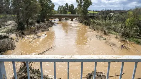La CHG destina cerca de 350.000 euros a medidas para mejorar el estado de los cauces en toda la cuenca La CHG destina cerca de 350.000 euros a medidas para mejorar el estado de los cauces en toda la cuenca