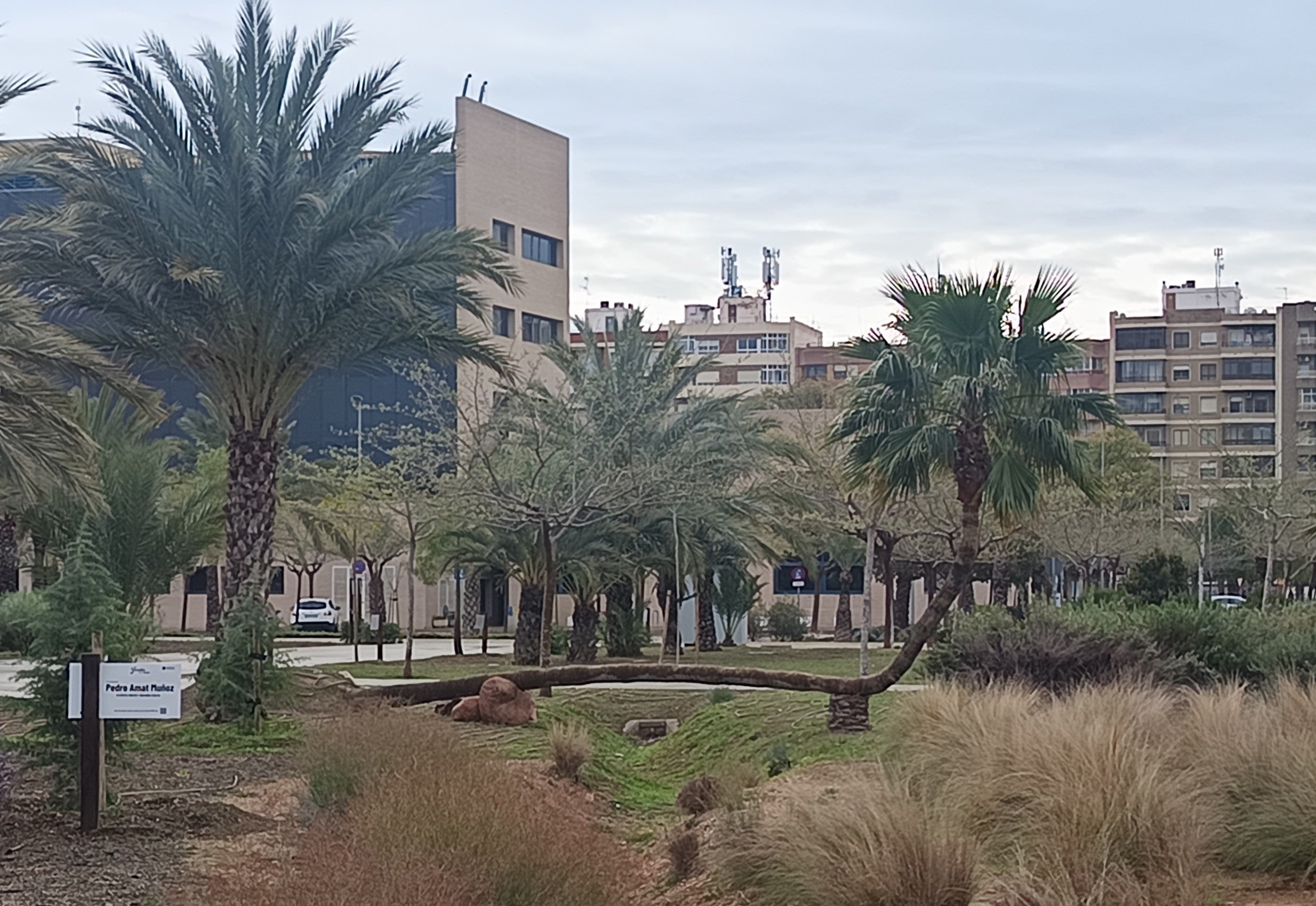 La semana comienza en Elche, Crevillent y Santa Pola con previsión de lluvia en sus primeras jornadas La semana comienza en Elche, Crevillent y Santa Pola con previsión de lluvia en sus primeras jornadas
