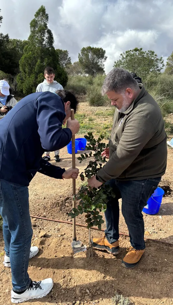 El alcalde, Luis Barcala planta un árbol El alcalde, Luis Barcala planta un árbol