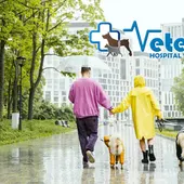 VETERPET VETERPET