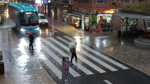 Ciudadanos con paraguas cruzando un paso de peatones en Elche. Ciudadanos con paraguas cruzando un paso de peatones en Elche.