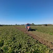 ASAJA Alicante ASAJA Alicante