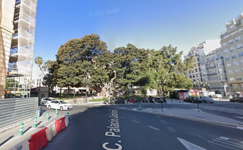 El Ayuntamiento encarga las obras para salvar el ficus monumental del Parterre El Ayuntamiento encarga las obras para salvar el ficus monumental del Parterre