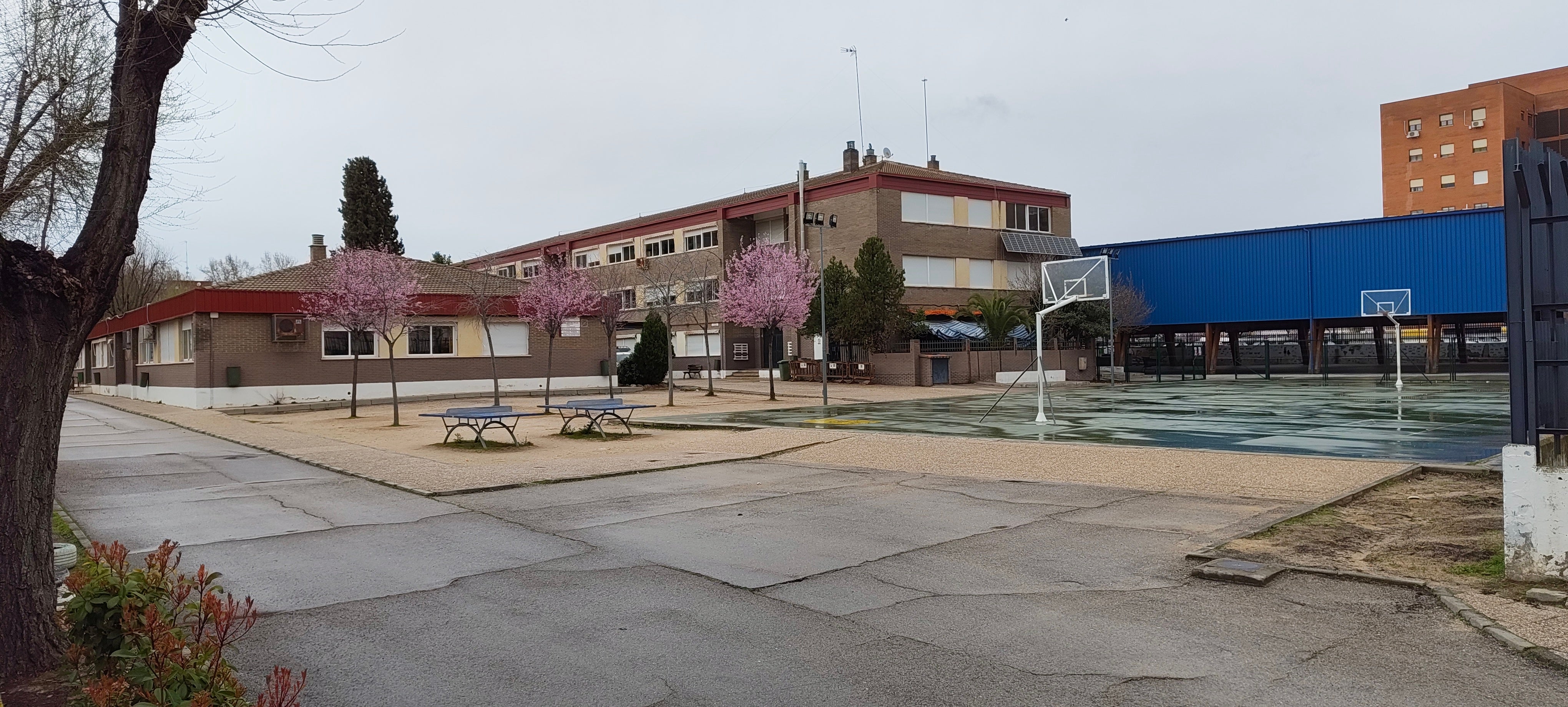 Noticias Alcalá de Henares matinal 11/03/2026 Noticias Alcalá de Henares matinal 11/03/2026