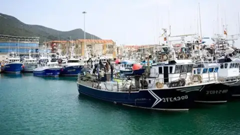 La sector pesquero de Almería ya conoce la normativa de este año para faenar en la Isla de Alborán La sector pesquero de Almería ya conoce la normativa de este año para faenar en la Isla de Alborán