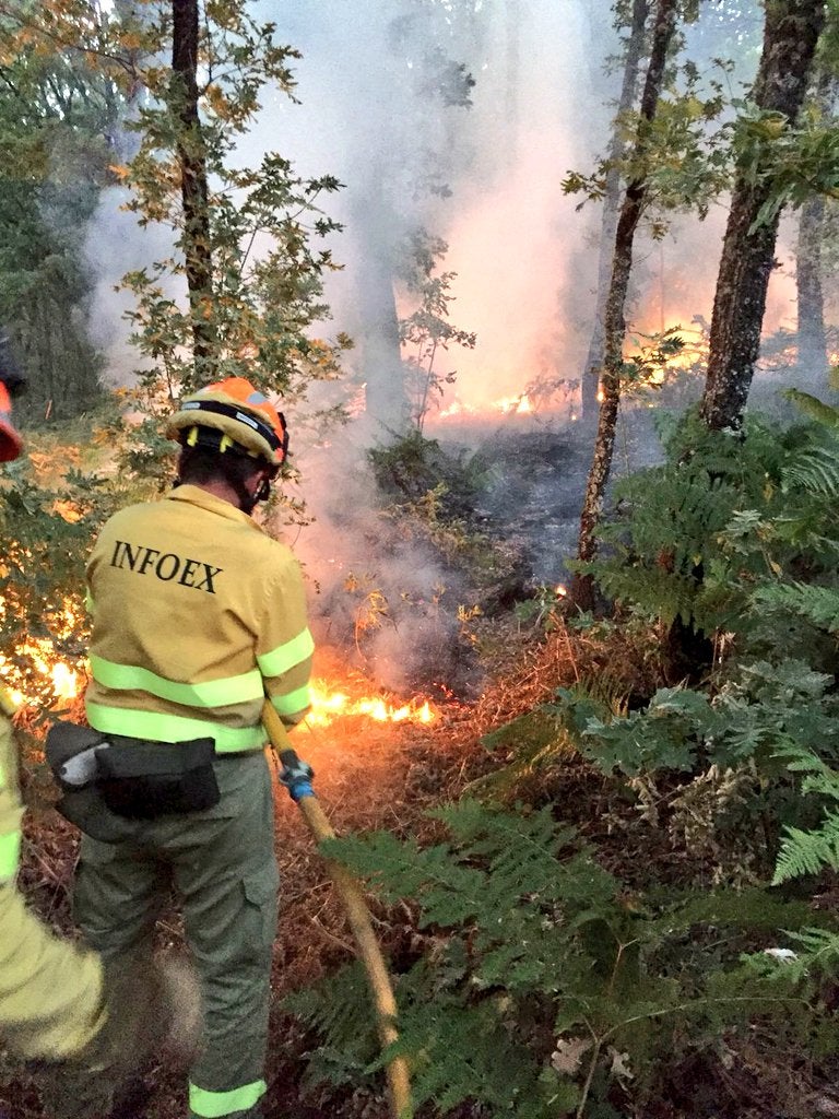 La Junta celebrará las pruebas de la oposición para 195 bomberos forestales y 29 agentes del Medio Natural entre abril y mayo La Junta celebrará las pruebas de la oposición para 195 bomberos forestales y 29 agentes del Medio Natural entre abril y mayo