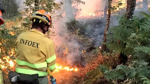 La Junta celebrará las pruebas de la oposición para 195 bomberos forestales y 29 agentes del Medio Natural entre abril y mayo La Junta celebrará las pruebas de la oposición para 195 bomberos forestales y 29 agentes del Medio Natural entre abril y mayo
