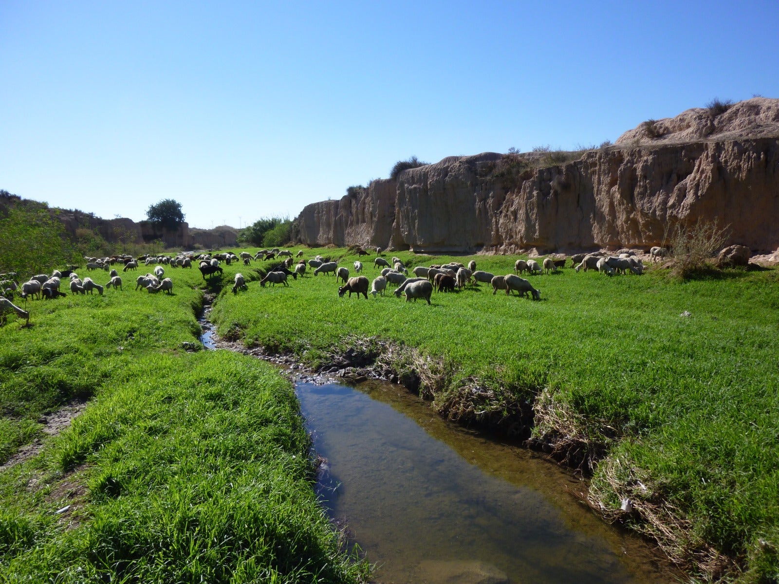 Alicante refuerza su protección frente a las inundaciones con actuaciones de restauración ambiental en barrancos Alicante refuerza su protección frente a las inundaciones con actuaciones de restauración ambiental en barrancos