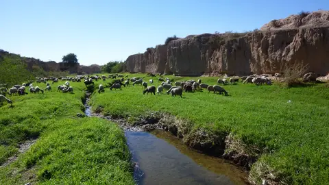 El Barranco de las Ovejas en su cabecera El Barranco de las Ovejas en su cabecera