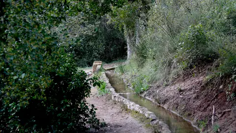 Espai natural a Alcover, dins del Parc Natural de les Muntanyes de Prades Espai natural a Alcover, dins del Parc Natural de les Muntanyes de Prades