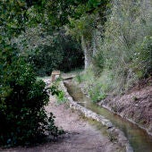 Espai natural a Alcover, dins del Parc Natural de les Muntanyes de Prades