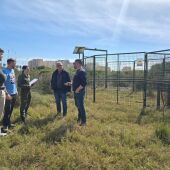 Oropesa del Mar instala dos jaulas para controlar la población de jabalíes en el municipio