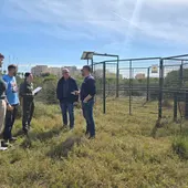Oropesa del Mar instala dos jaulas para controlar la población de jabalíes en el municipio Oropesa del Mar instala dos jaulas para controlar la población de jabalíes en el municipio