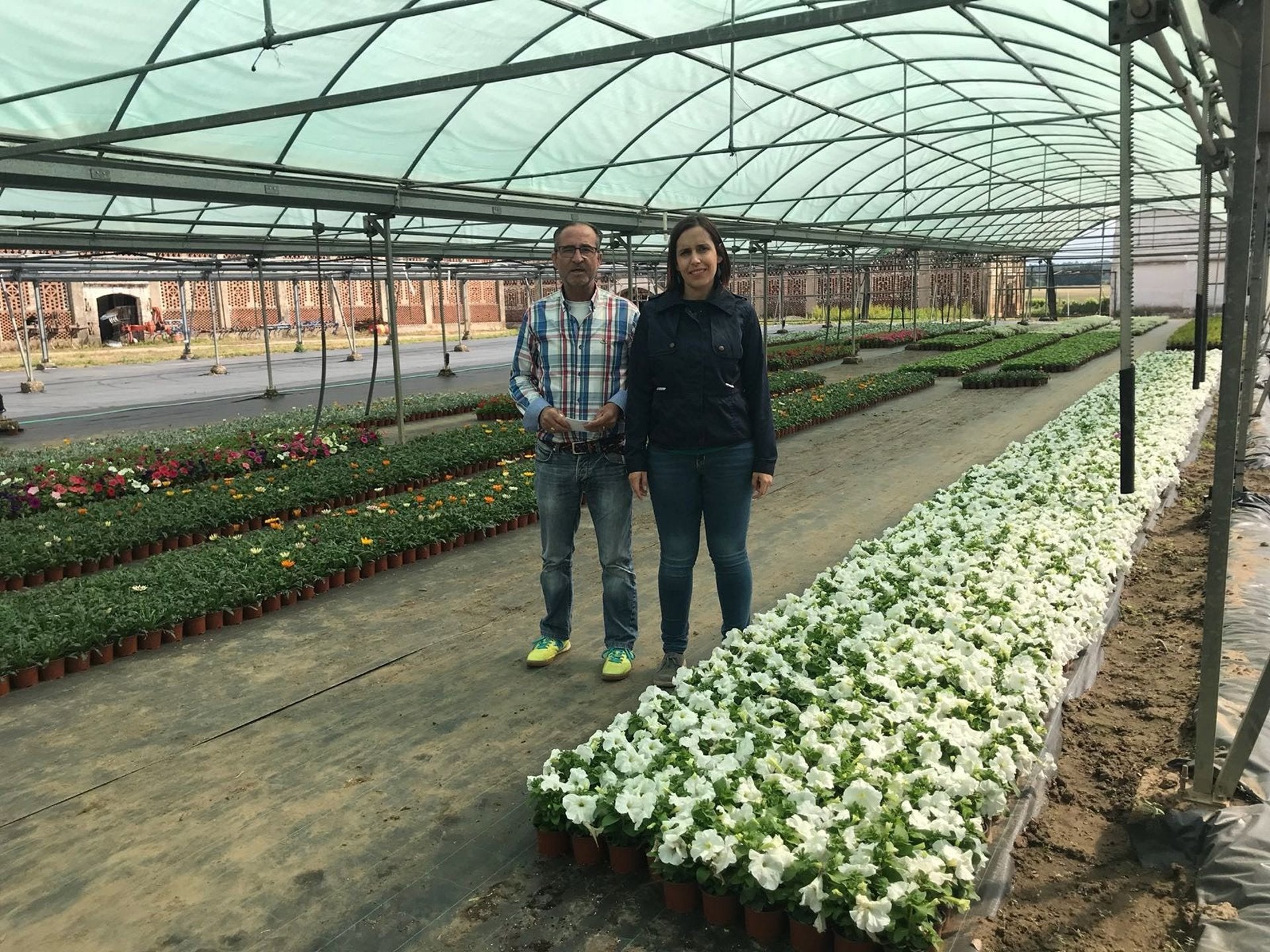 La Diputación de Cáceres abre el plazo para que los municipios soliciten plantas al vivero para embellecer sus calles La Diputación de Cáceres abre el plazo para que los municipios soliciten plantas al vivero para embellecer sus calles