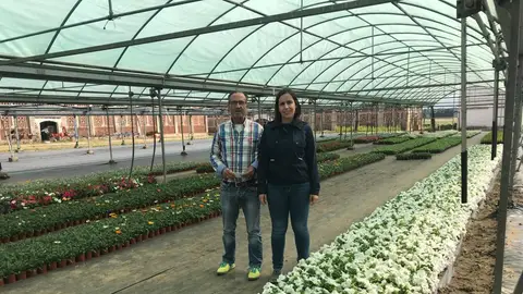 La Diputación de Cáceres abre el plazo para que los municipios soliciten plantas al vivero para embellecer sus calles La Diputación de Cáceres abre el plazo para que los municipios soliciten plantas al vivero para embellecer sus calles