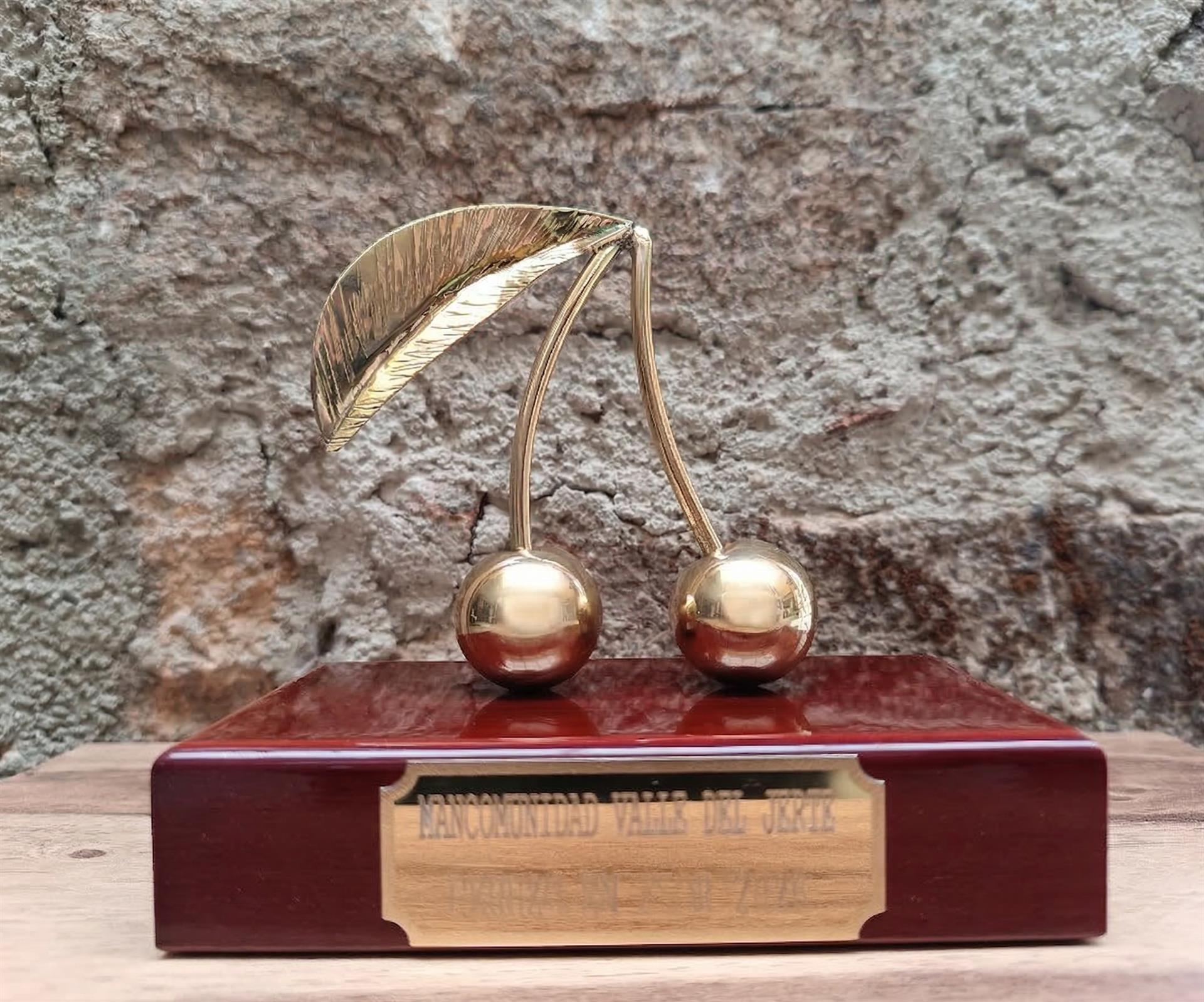 El cronista de Tornavacas y el operativo que luchó contra los incendios forestales recibirán las 'Cerezas de Oro 2026' El cronista de Tornavacas y el operativo que luchó contra los incendios forestales recibirán las 'Cerezas de Oro 2026'