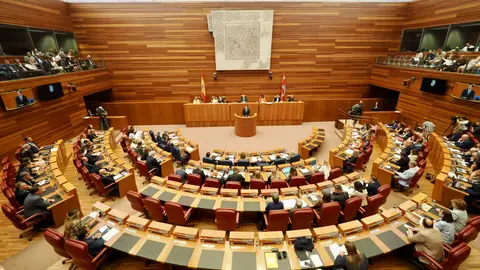 Imagen de las Cortes de Castilla y León Imagen de las Cortes de Castilla y León